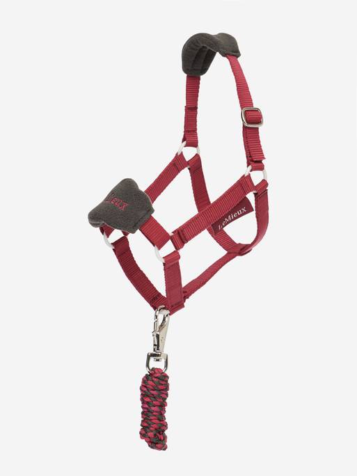 LM HOBBY HORSE VOUGE HEADCOLLAR