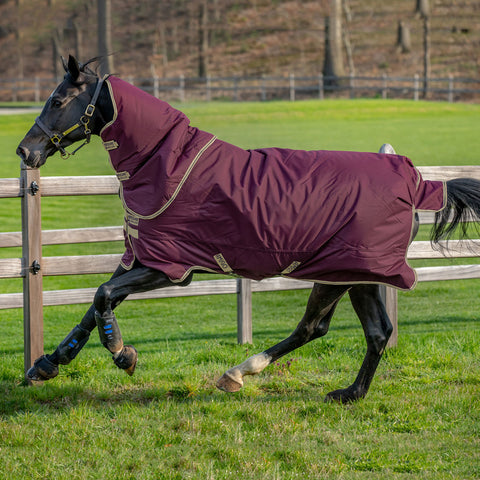 Amigo Hero 600D Plus 100G Turnout