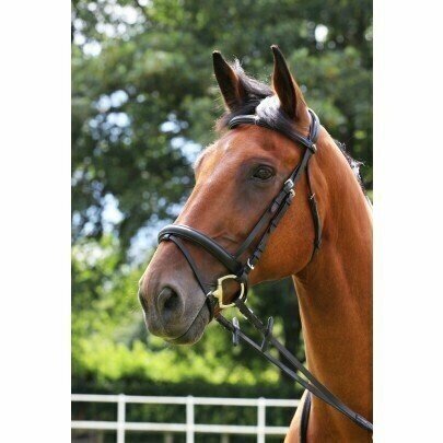 Cameo Core Comfort Bridle Black With Flash