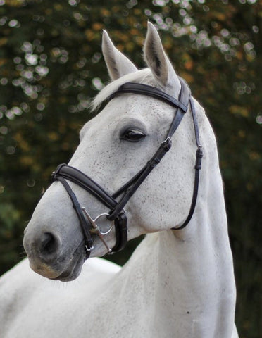 Eco Rider Ecolux Bridle Brown