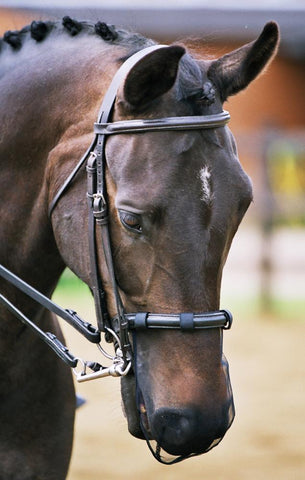 Equlibrium Nose Net Relief Black