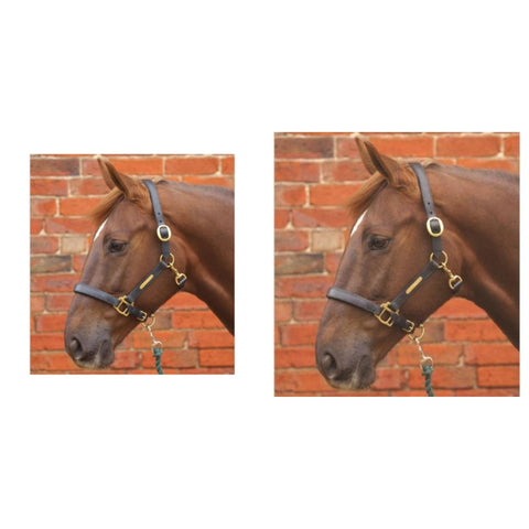 Hy Leather Head Collar