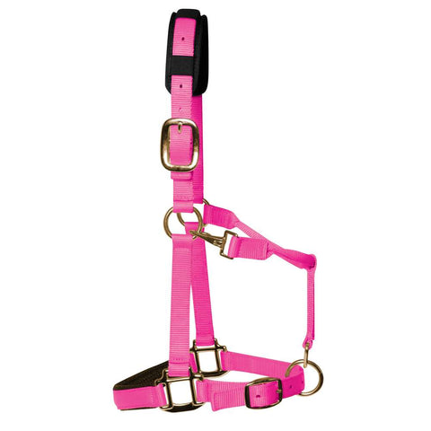 KM Elite Headcollar Hot Pink