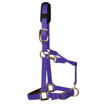 KM Elite Headcollar Purple