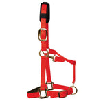 KM Elite Headcollar Red