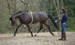 Mark Todd Lunging Aid Full Cream