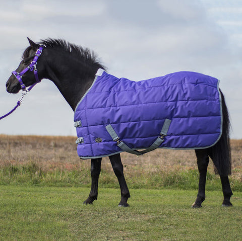 Mark Todd Medium Pony Stable Rug Std Purple/Grey