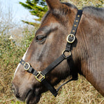 Rhinegold Nylon Headcollar Black