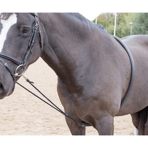 Shires Soft Lunging Aid Black