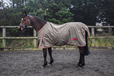 Whitaker Tanfield 50g Turnout Rug
