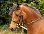 Rhinegold Plain Windsor Bridle Brown