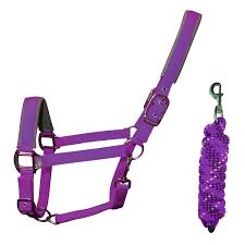 Woof Wear Head Collar & Lead Rope Ultra-Violet