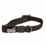 Weatherbeeta Elegance Dog Collar
