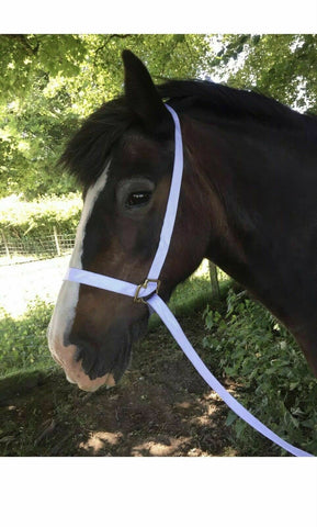 KM White Rope Show Halter
