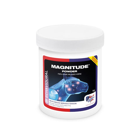 Magnitude 1kg