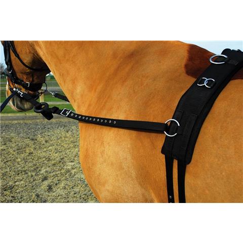 Rhinegold Training/Breaking Set Full Black