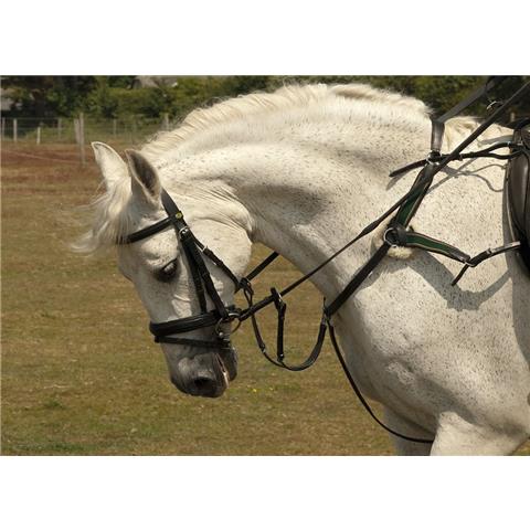 Rhinegold 5 Point Breastplate