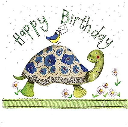 Alex Clark Turtle Card
