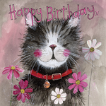 Alex Clark Whiskers Card